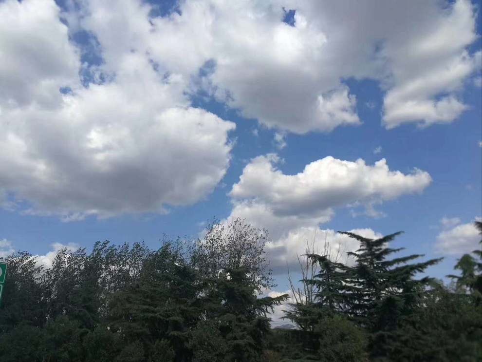 �ױ�emc��̬ũ�������´���