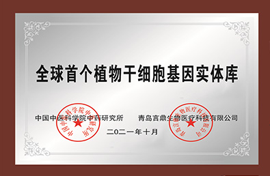 emc�ױ���(�й���½)�ٷ���վ