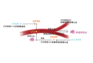 ϸ��Һ���켼��Cell liquid biopsy technique��CLBT��